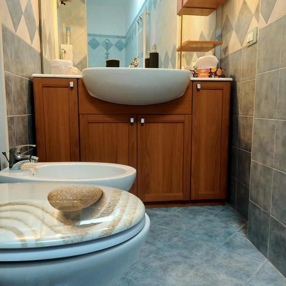 Bathroom, bidet, hair dryier, internet