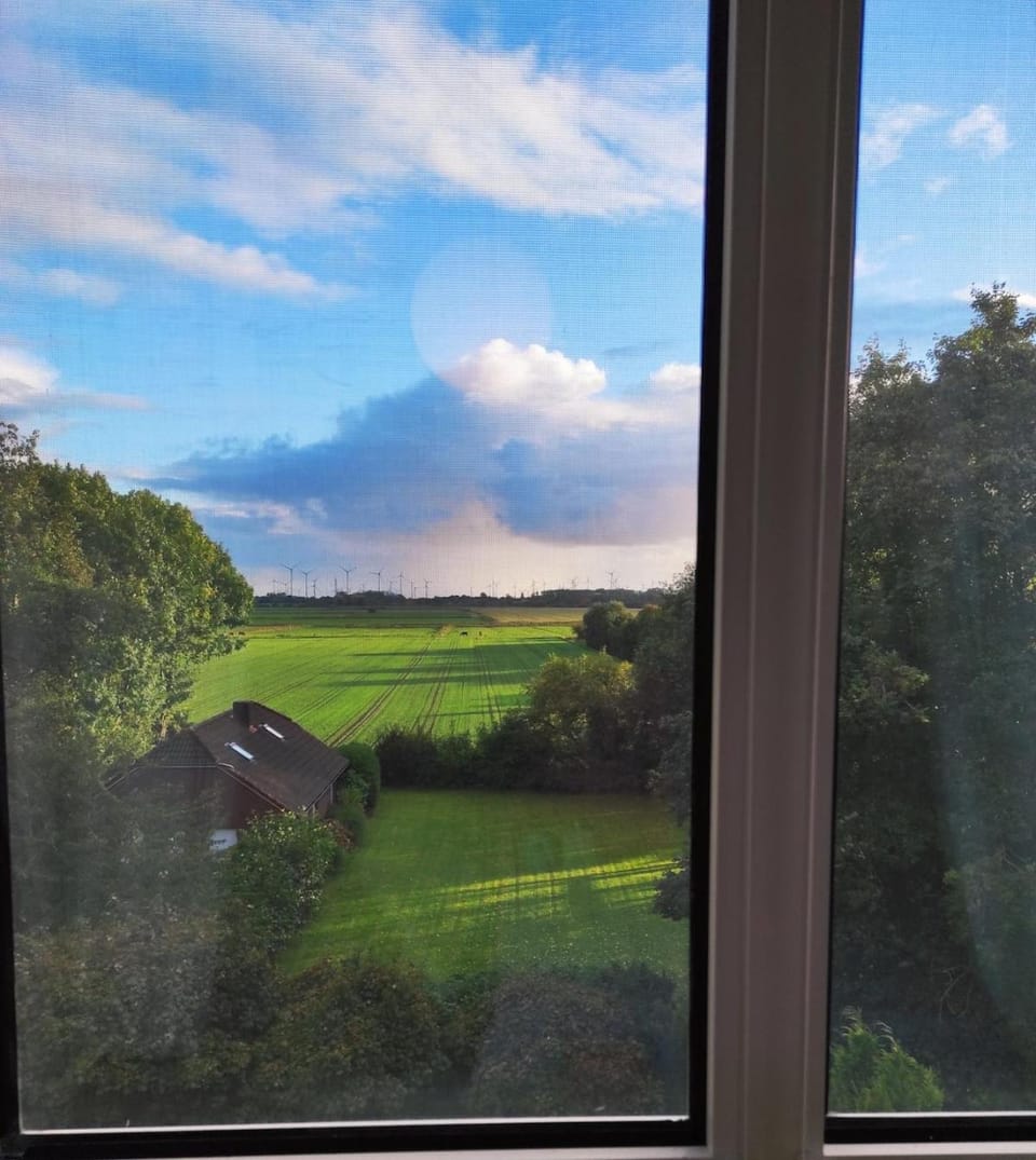 Natural landscape