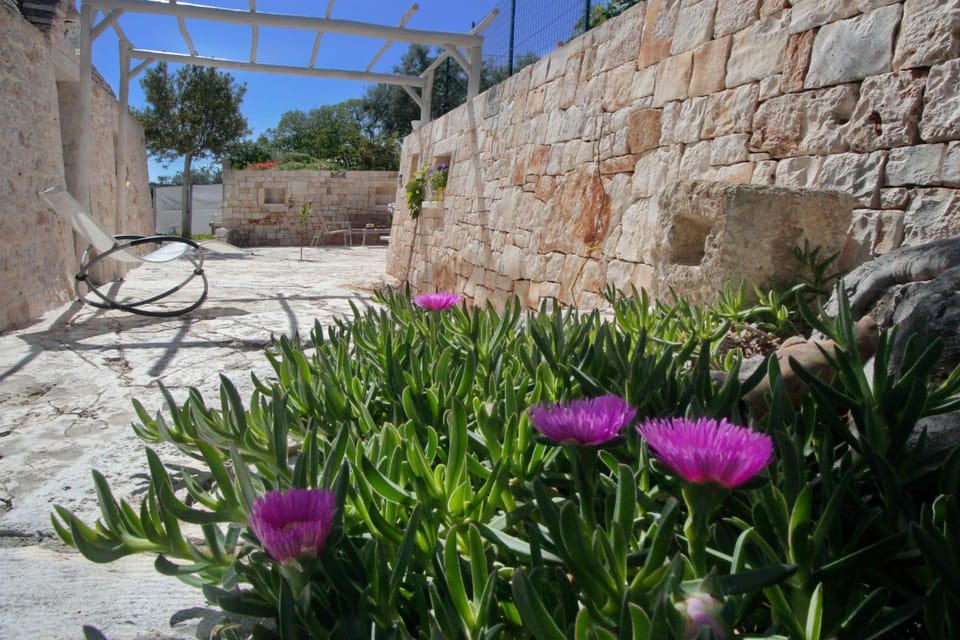 Patio, Garden
