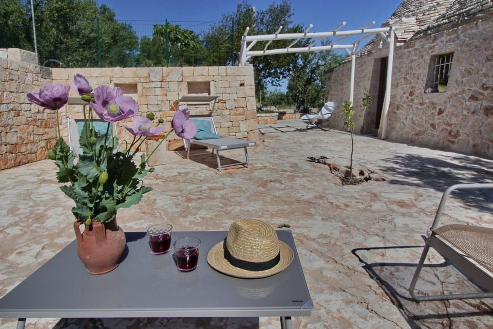 Patio, Garden