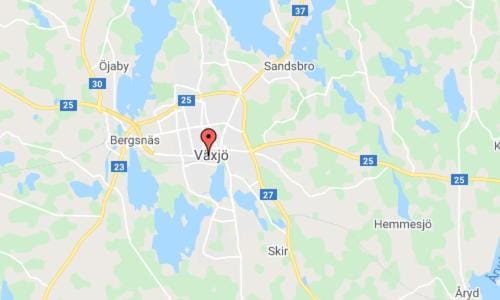Bergsnäs Motel Vacation rental in Denmark