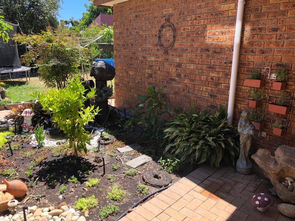 Garden view