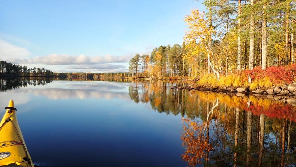 Activities, Autumn, Guests