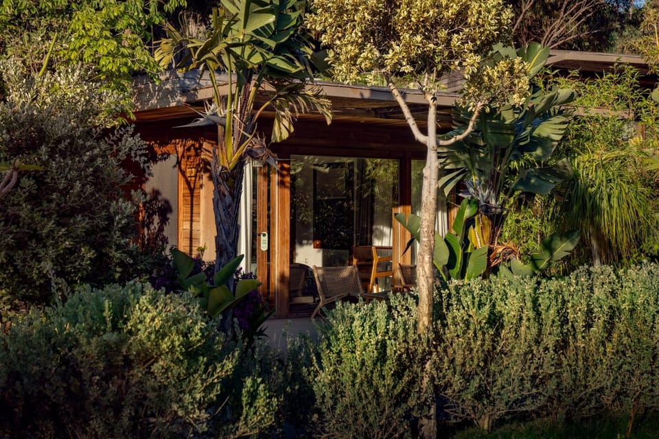 Property building, Garden, Garden view