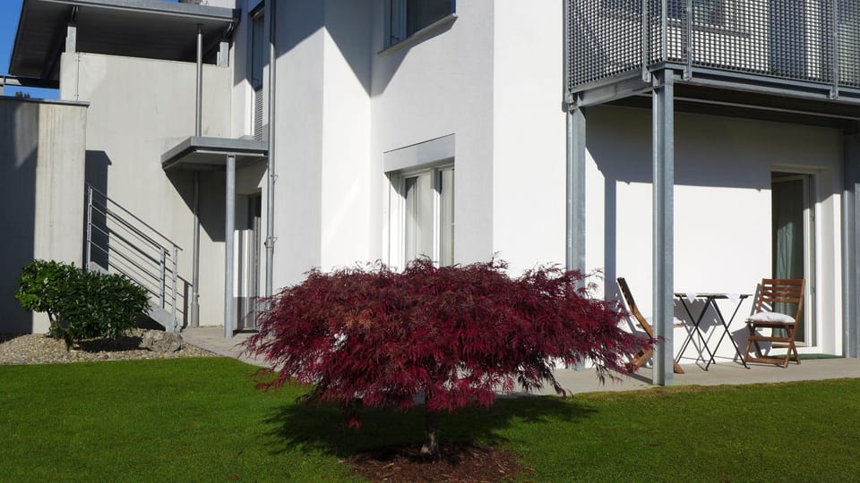 Property building, Garden view