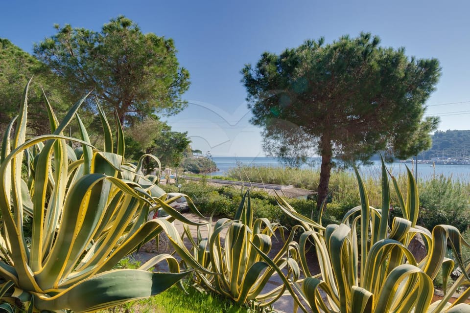 Appartamento Sud Est - Goelba Apartment in Tuscany