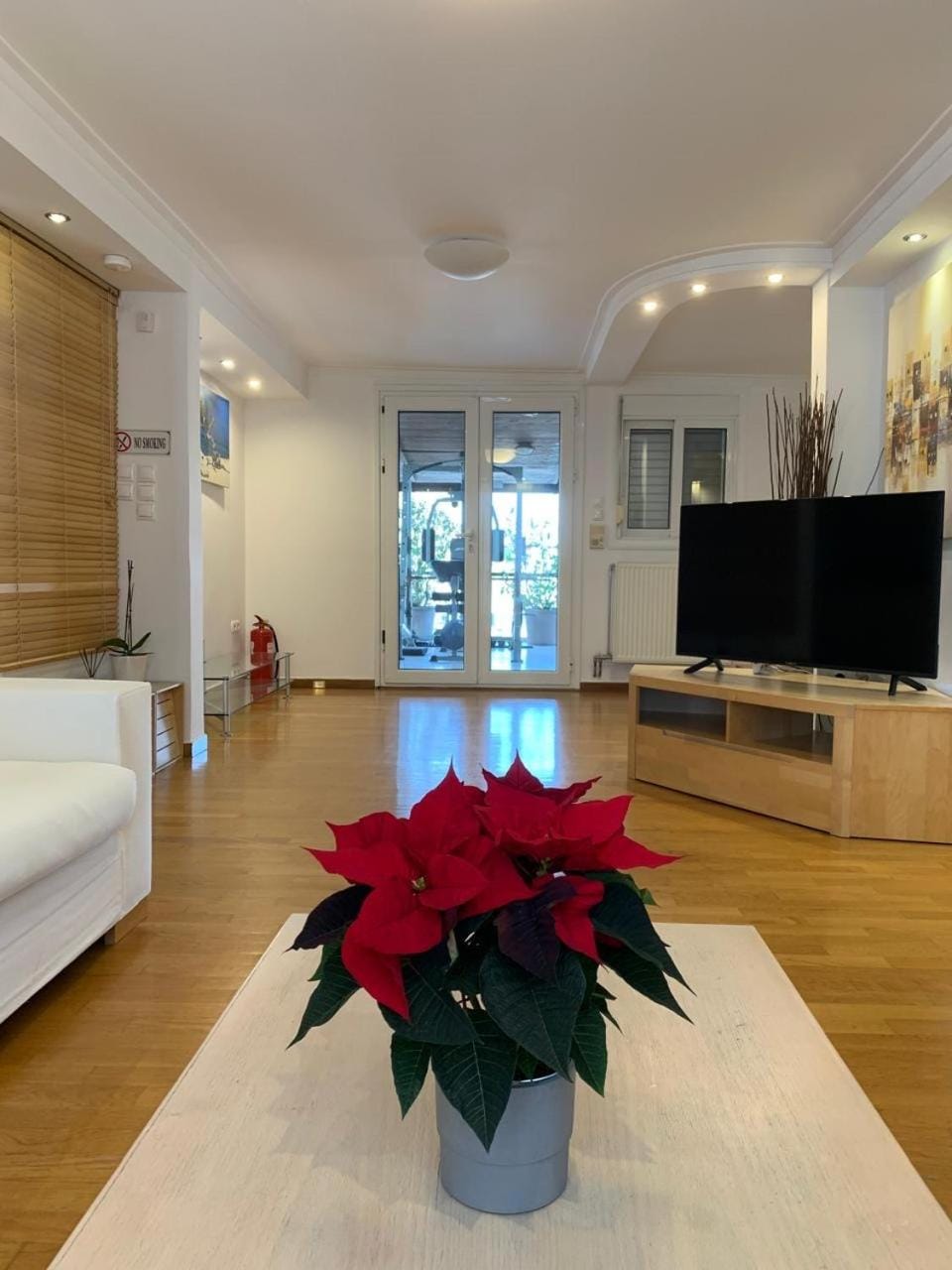 Dafni Athens loft Apartment in Athens