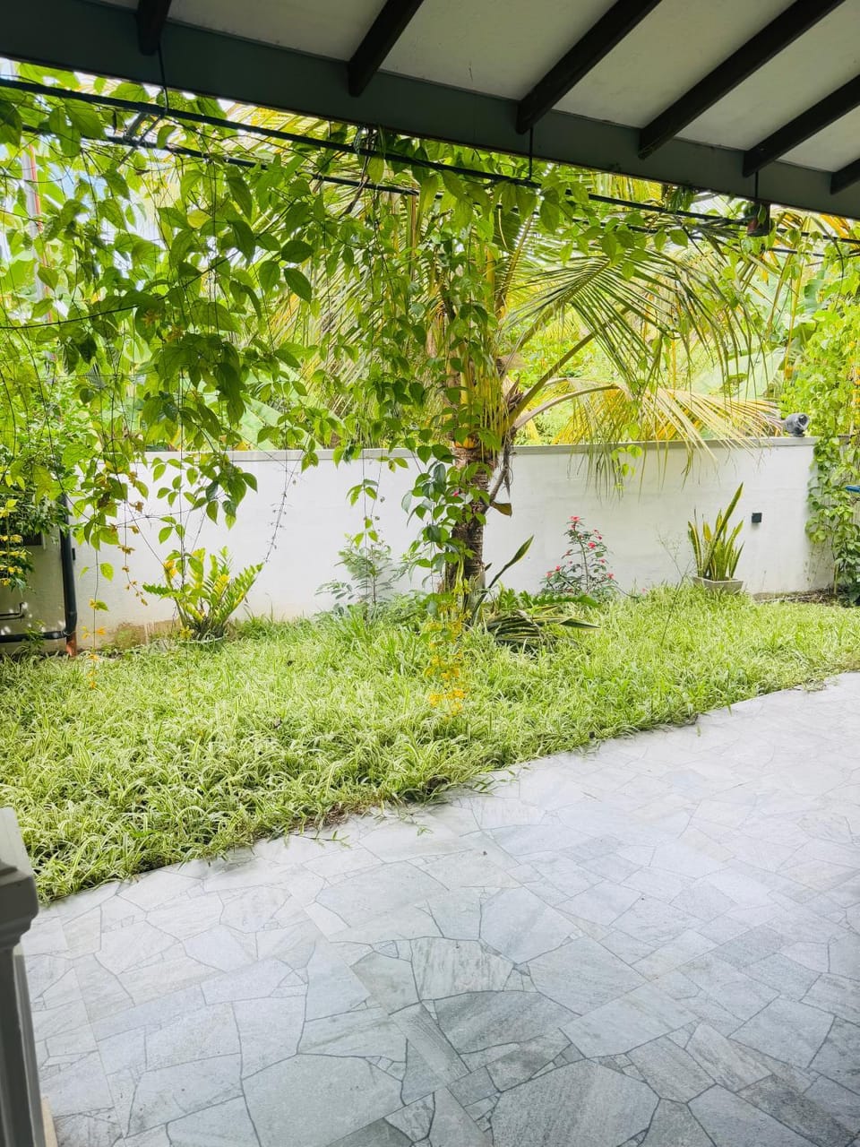Day, Garden, Garden, Garden view