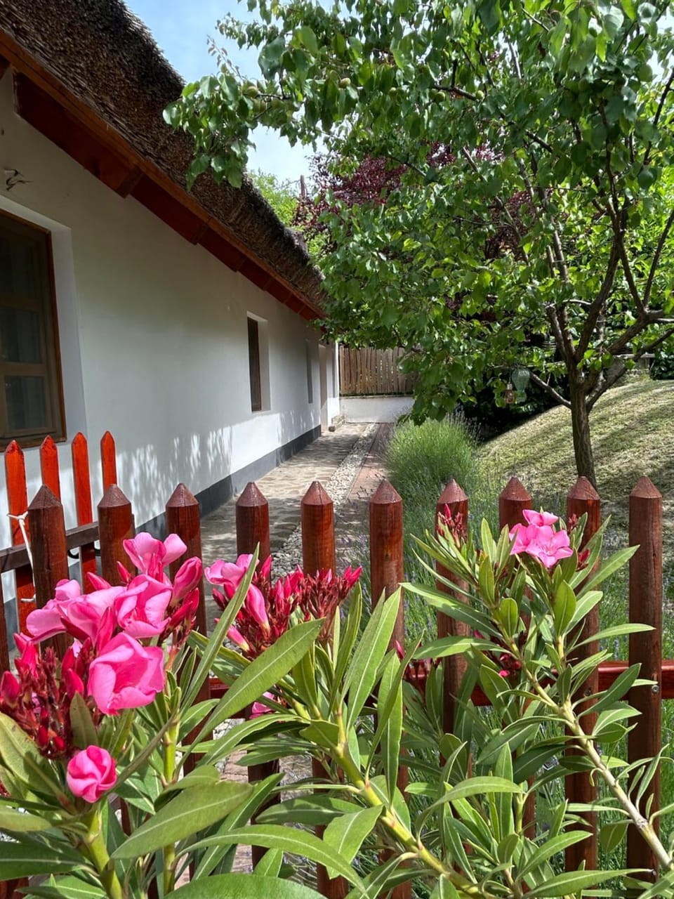 Mézes-Kuckó Apartment in Hungary