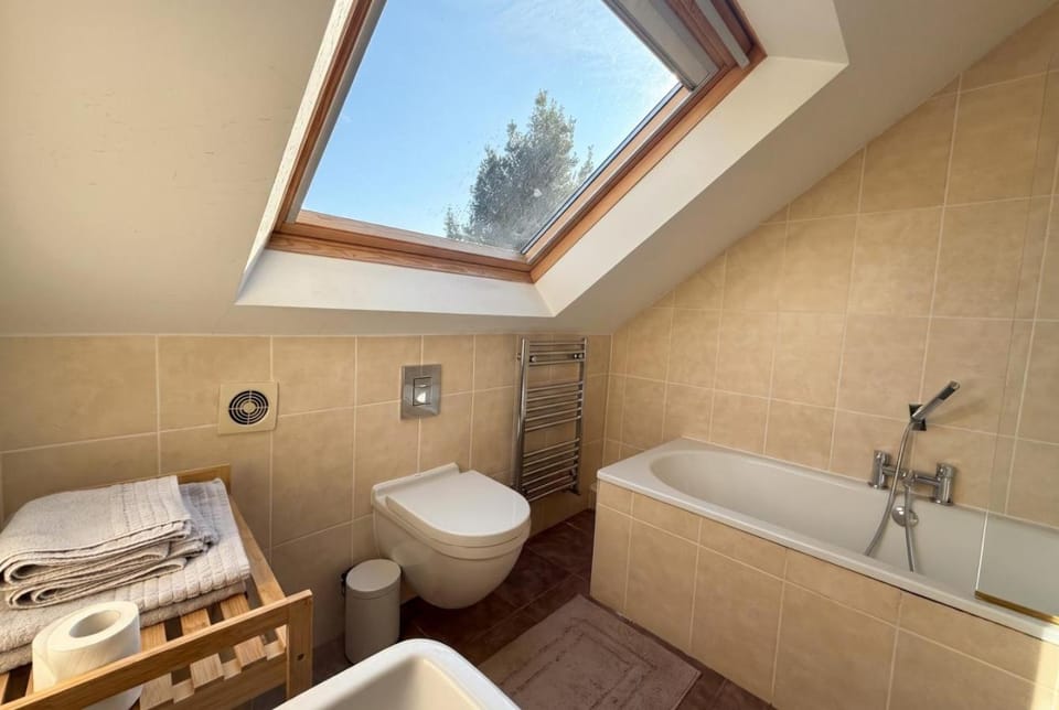 Toilet, Bathroom, Bath