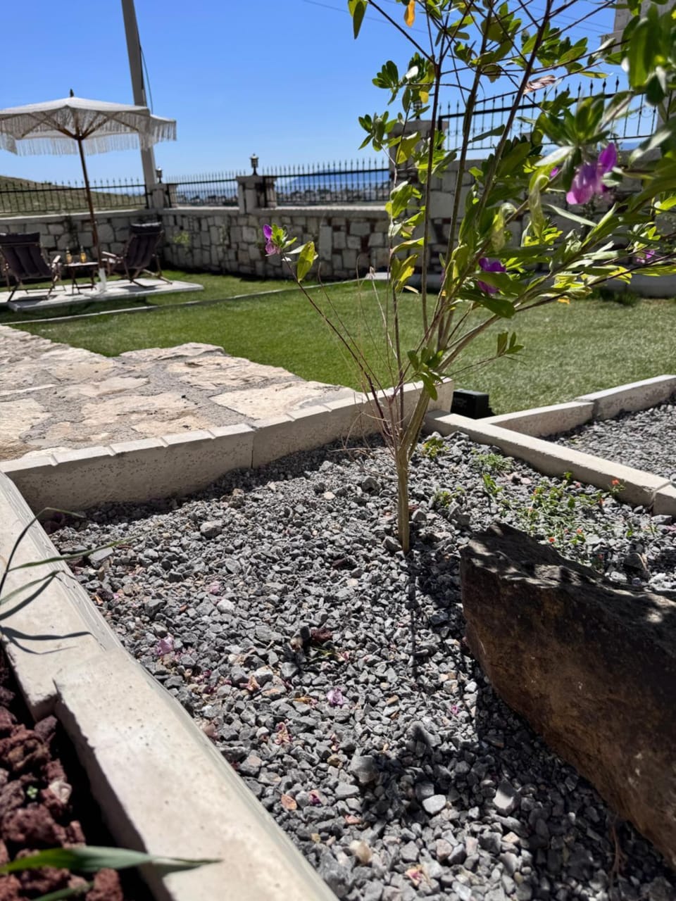 Garden, Garden view