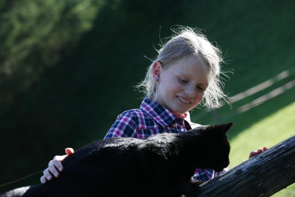 Pets