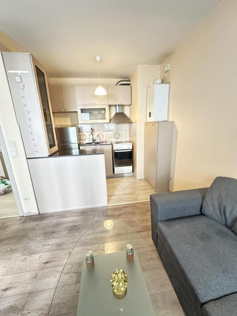 Paradise Comfort Apartment in Sofia