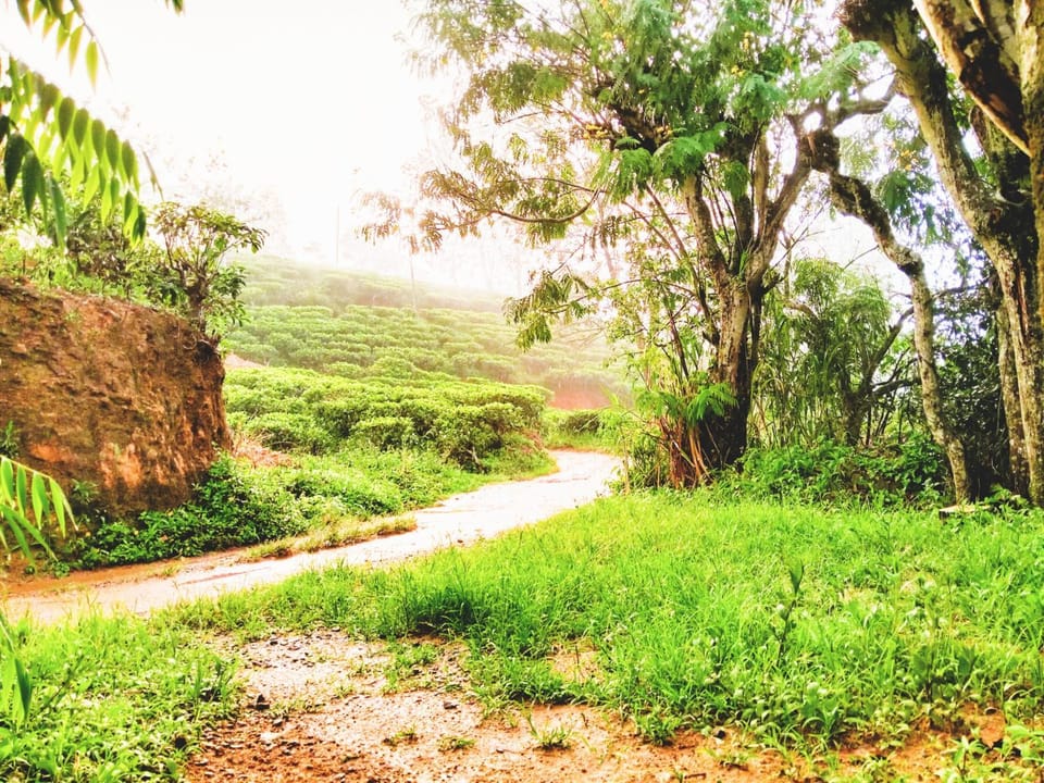 Natural landscape