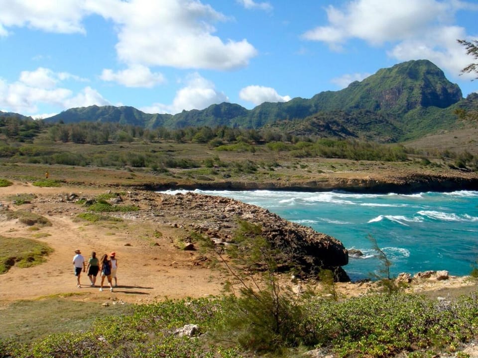 Ocean view, Beautiful sunrise, Private pool, Walk to beaches House in Poipu