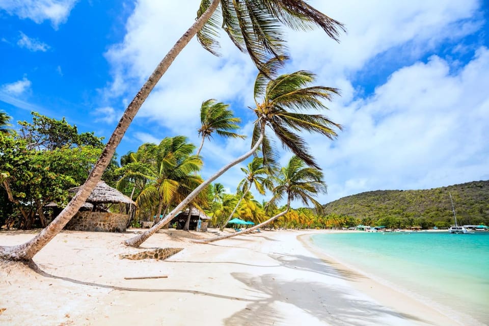 Natural landscape, Activities, Snorkeling, Beach, Sea view