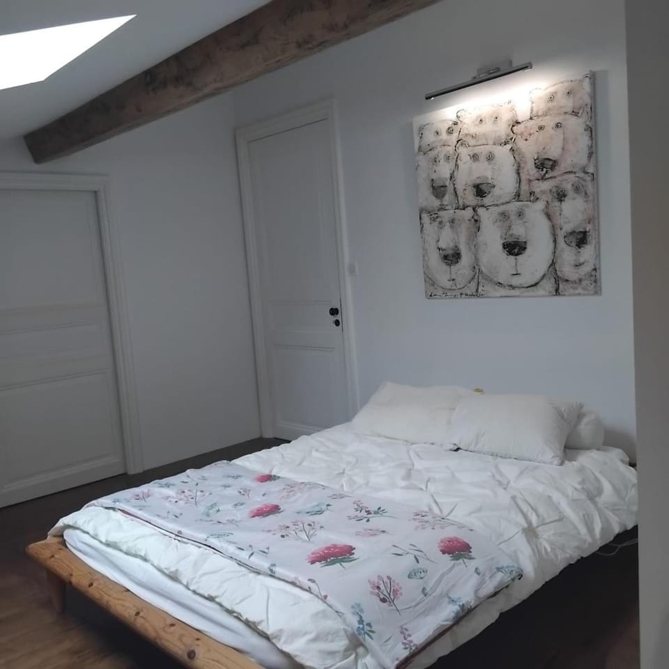 Immeuble historique au pied du Château de Jonzac Villa in Jonzac