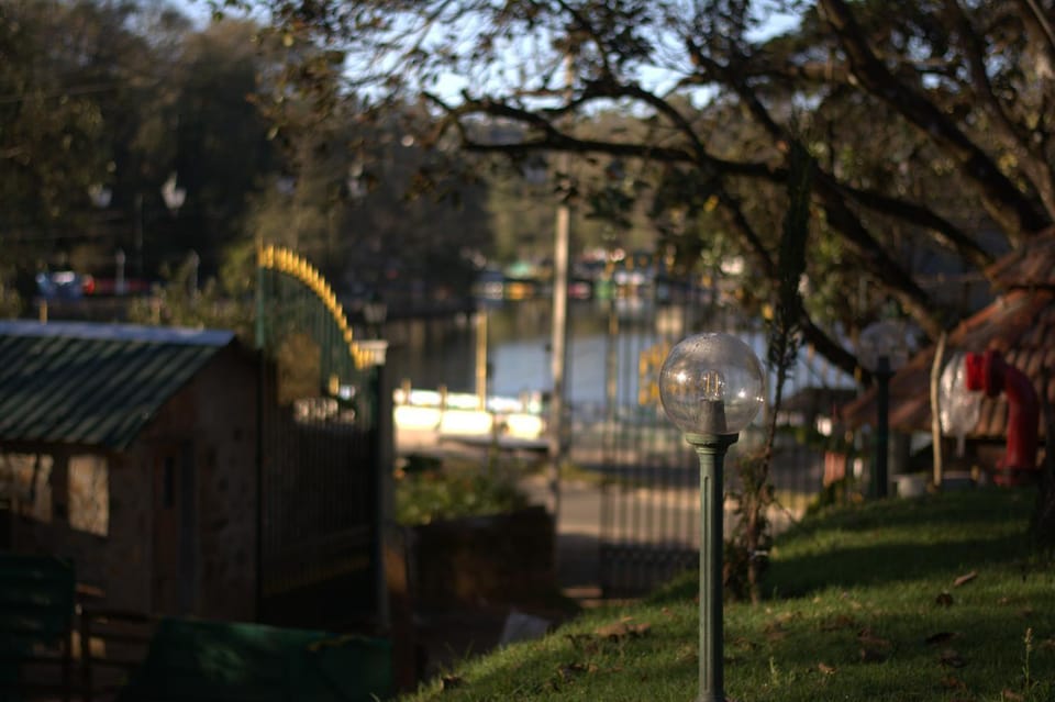 Lake view