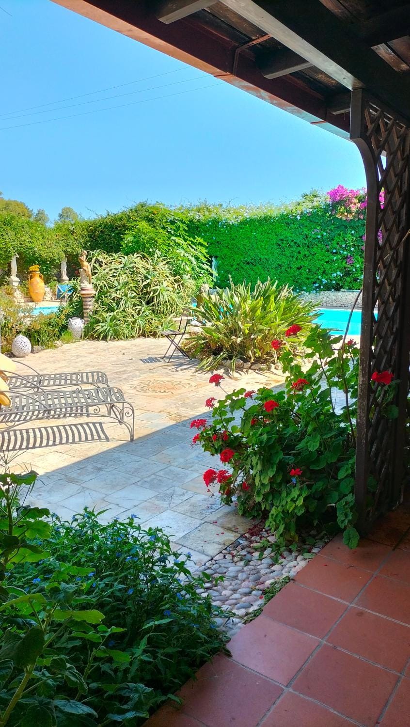 B&B Le Amazzoni Bed and Breakfast in Apulia