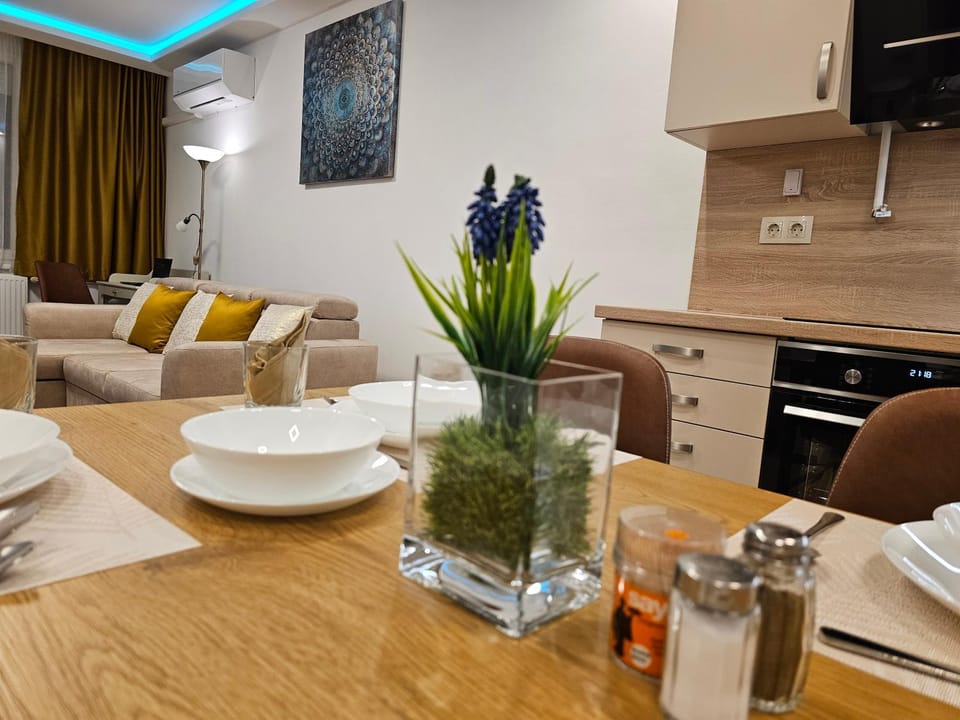 Kitchen or kitchenette, Living room, stove