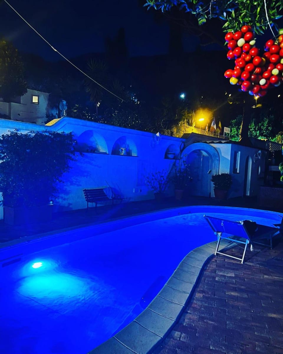 Night, Garden, Garden view, Pool view, Swimming pool, sunbed