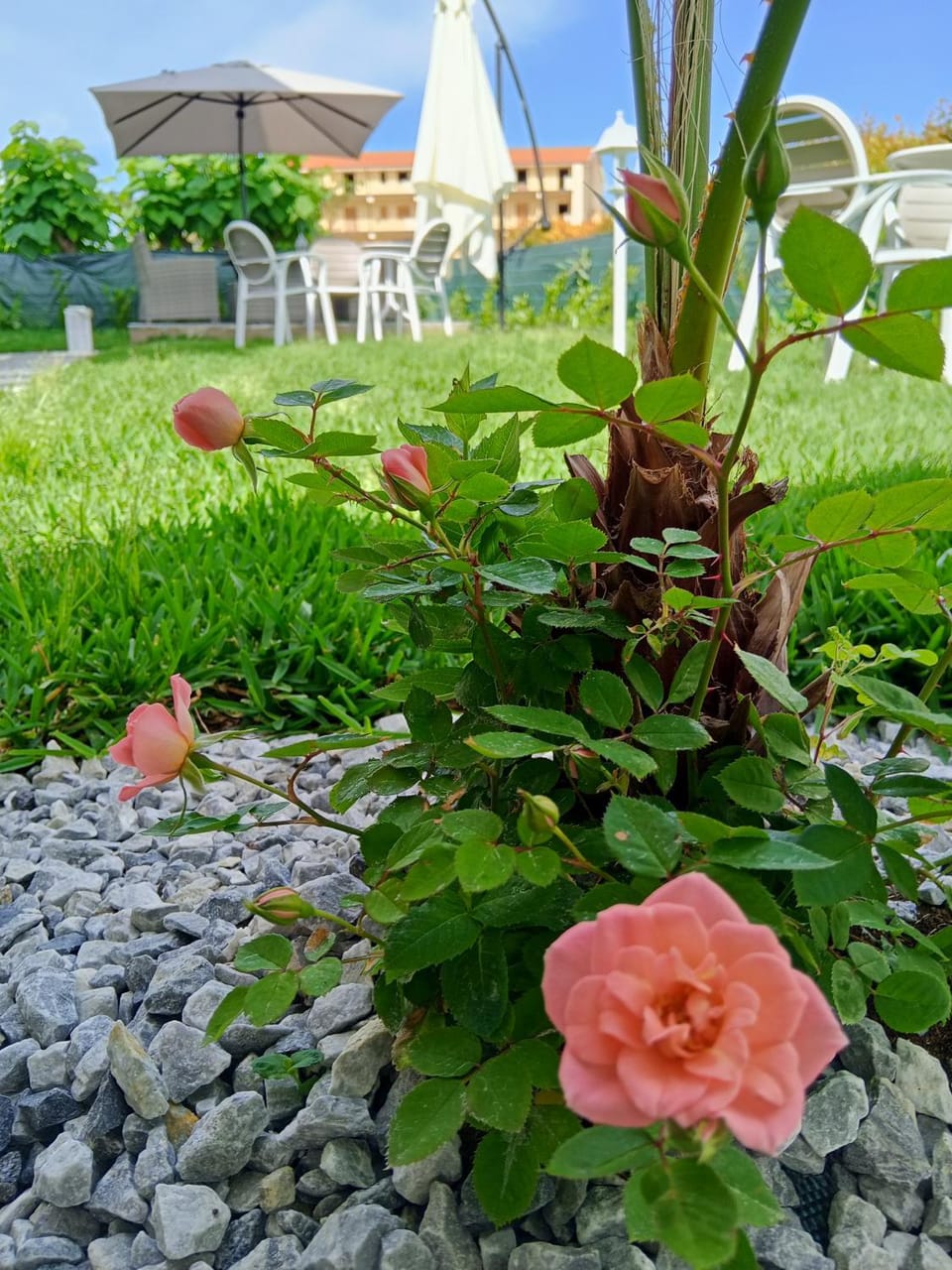 Atlantide Suites Tropea Bed and Breakfast in Tropea