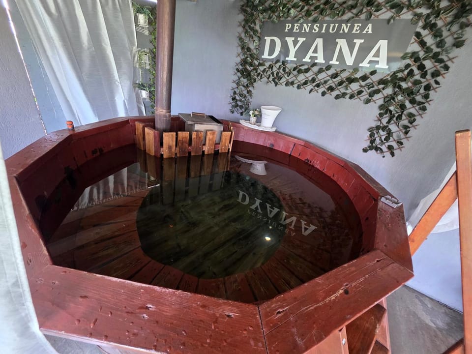 Vila DYANA baile felix cordau Country House in Romania