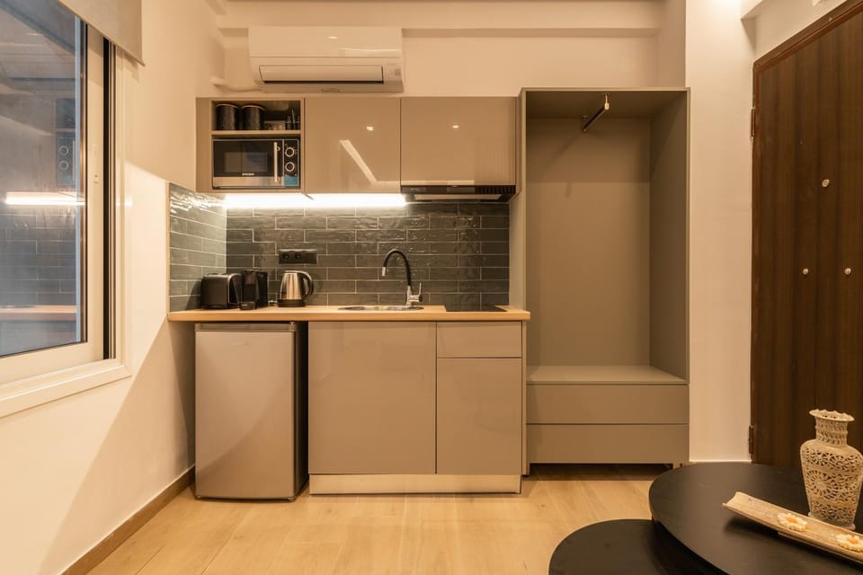 Mini Sinatra Suite Syntagma Apartment in Athens