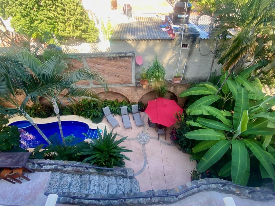 Patio, Garden, Swimming pool, sunbed