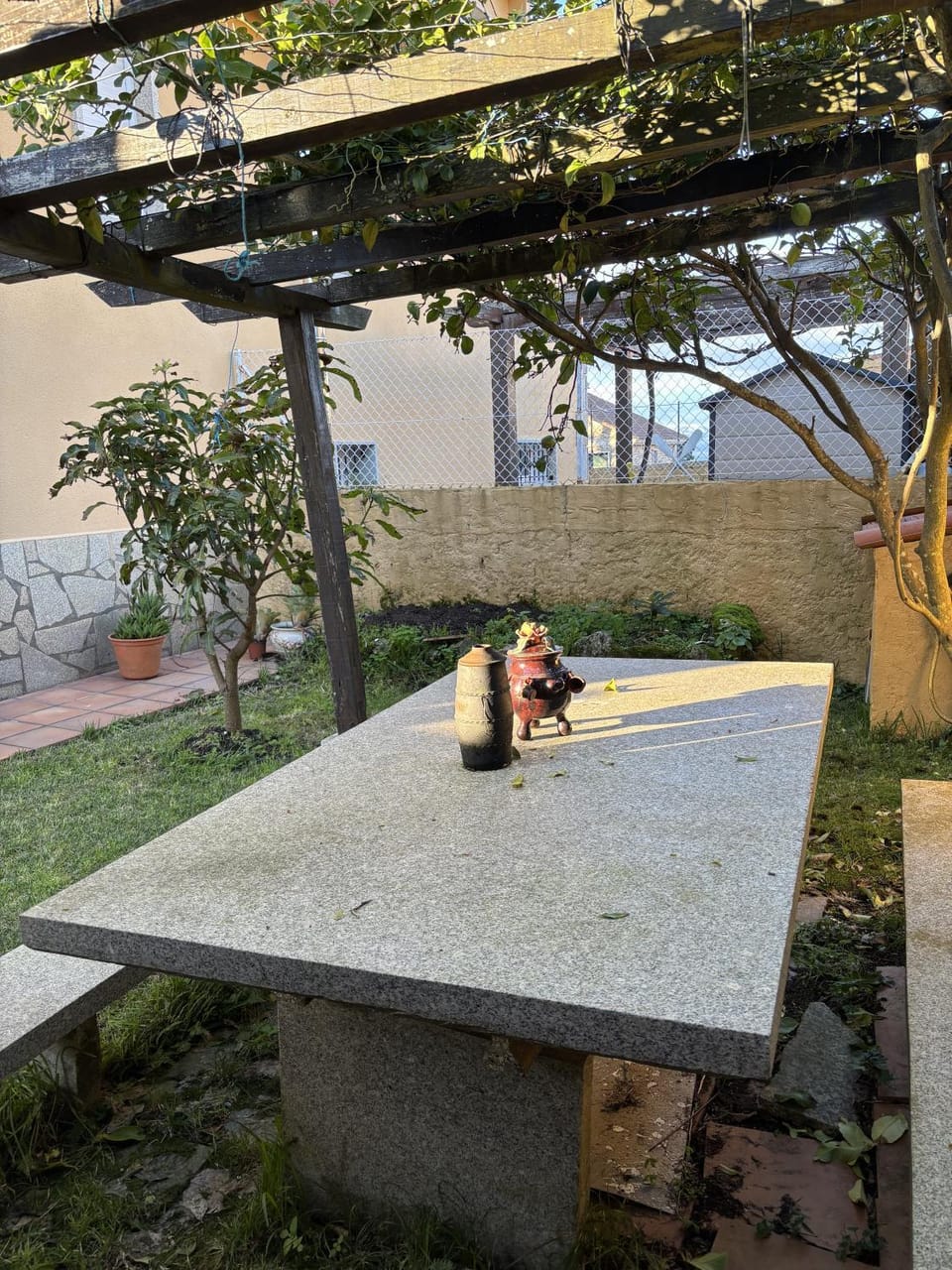 Garden view