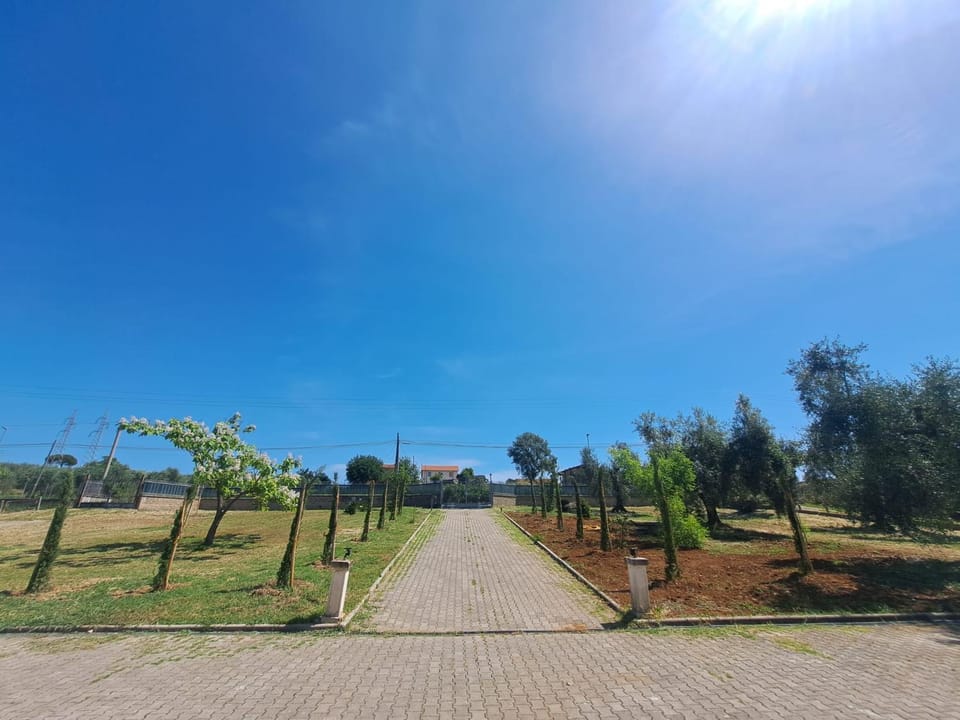 Day, Garden