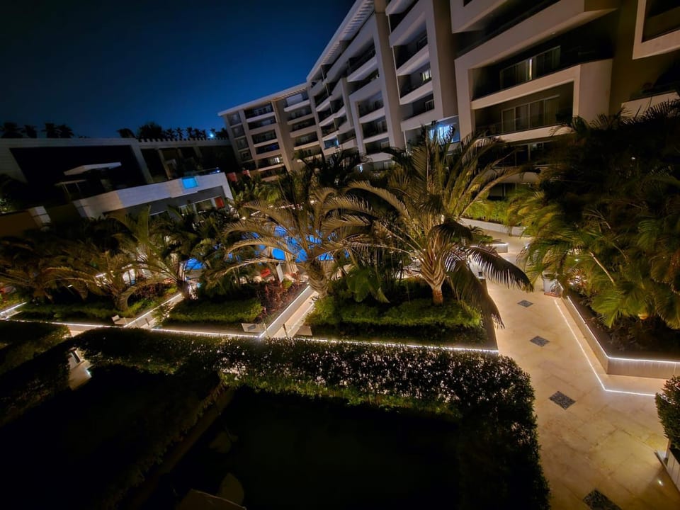 Night, Natural landscape, Garden