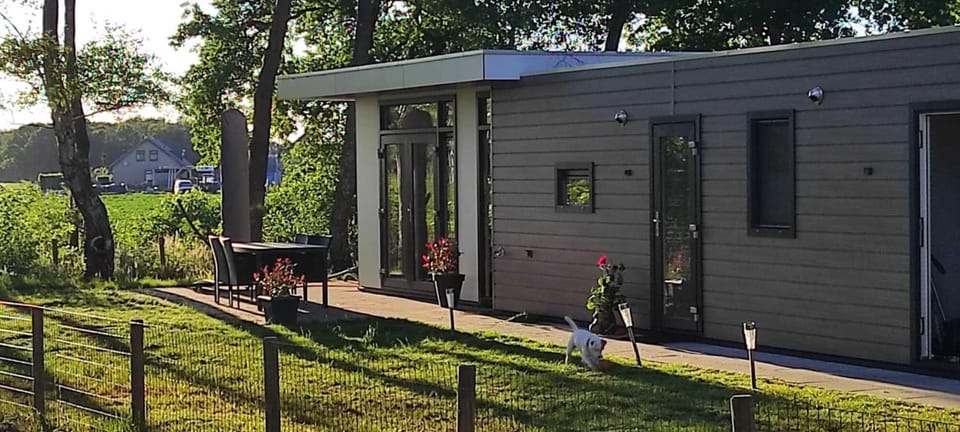Property building, Garden view