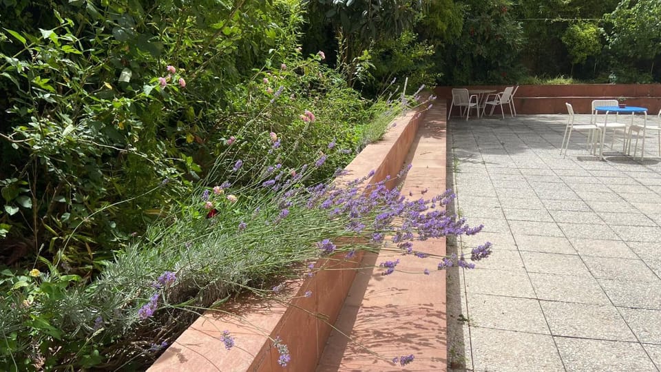 Patio, Garden, Garden view