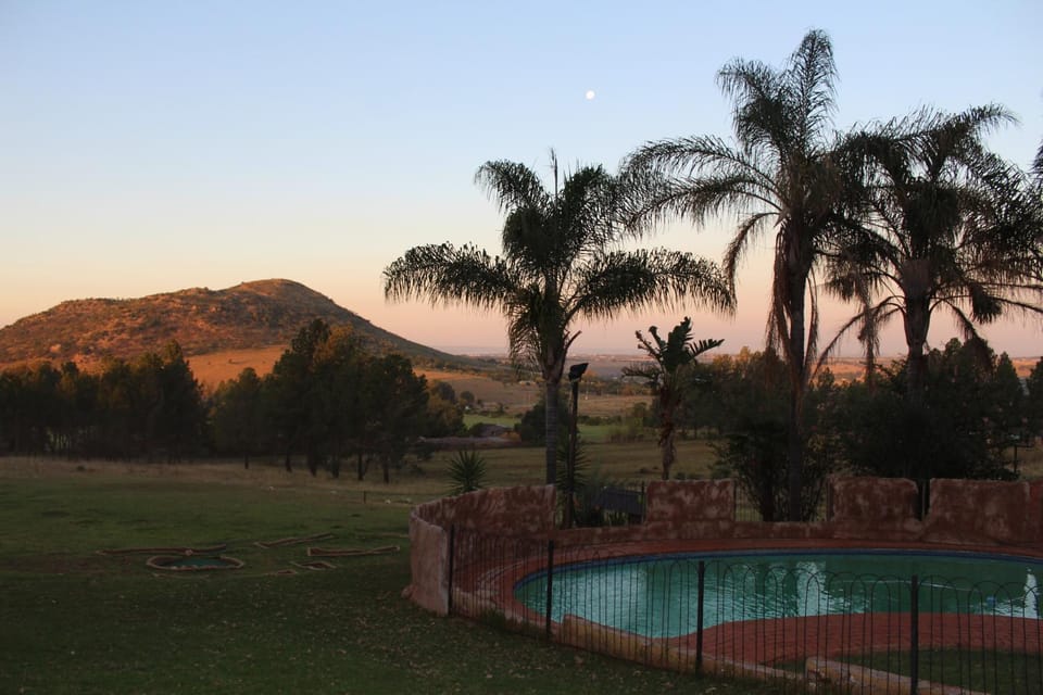 Garden, Swimming pool, Sunset