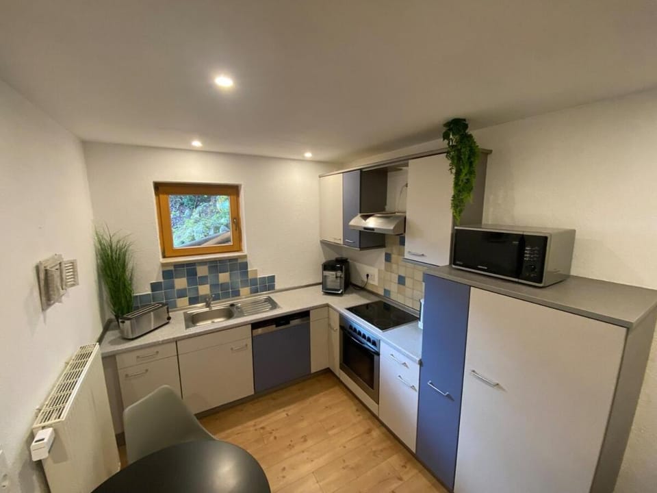 Kitchen or kitchenette, dishwasher, oven, stove
