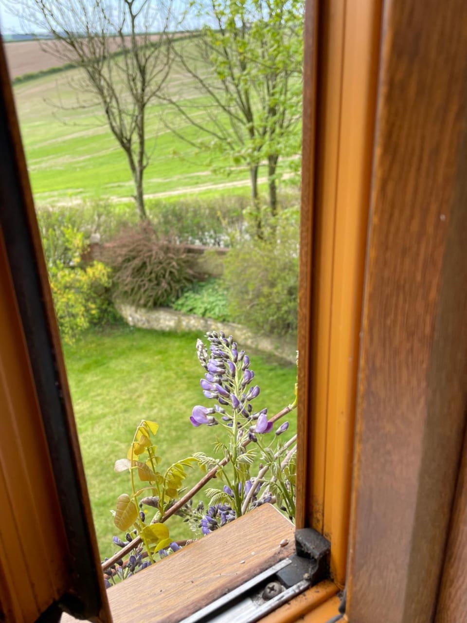 Natural landscape, Garden, Garden view