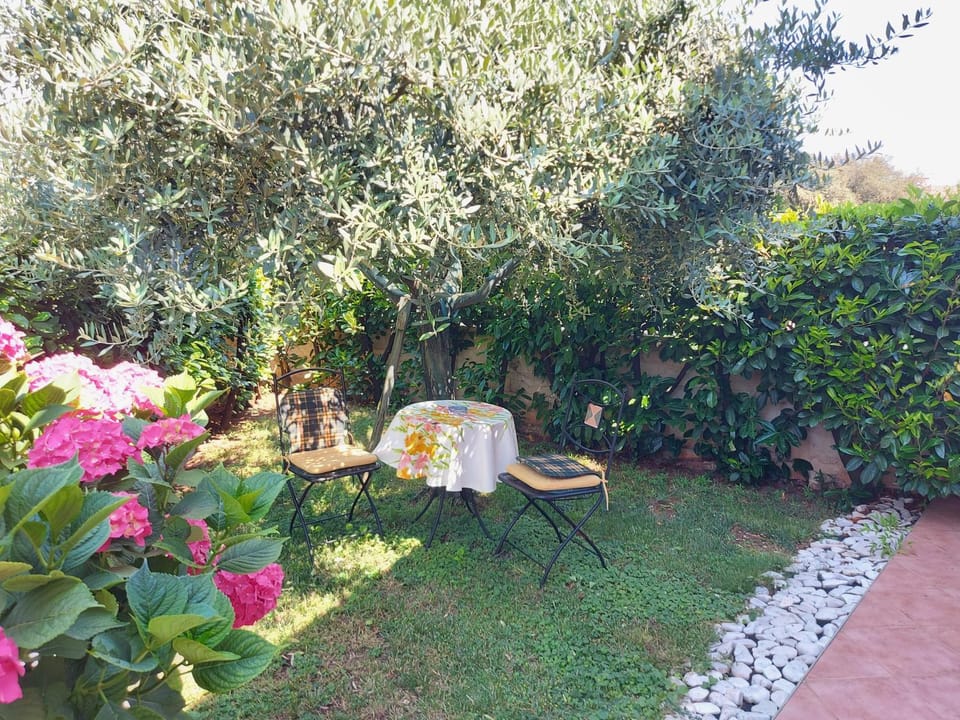 Appartamento Alida Apartment in Istria County
