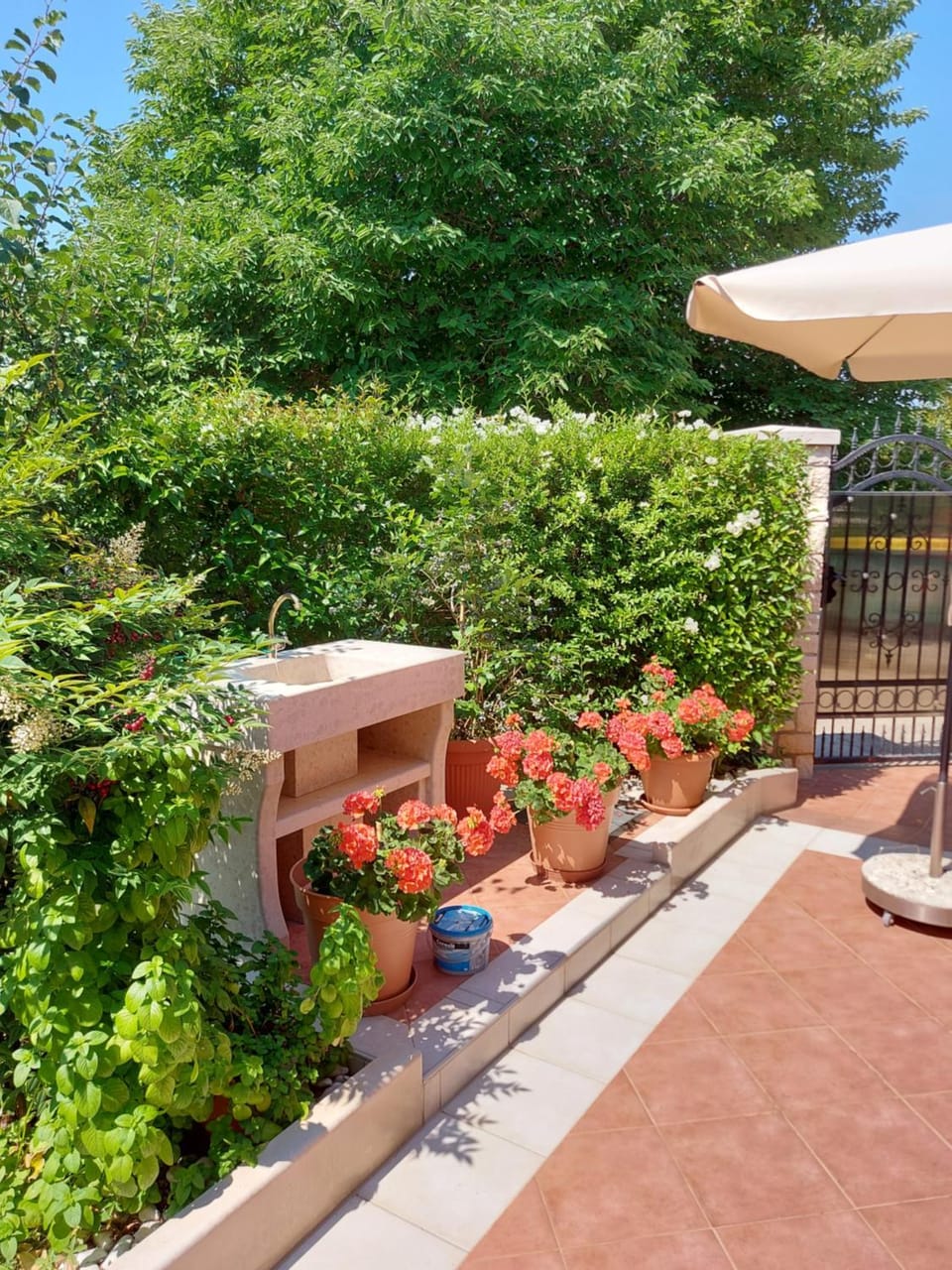 Appartamento Alida Apartment in Istria County