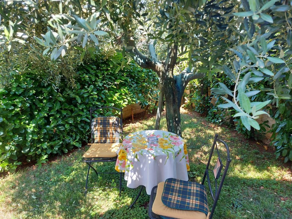 Appartamento Alida Apartment in Istria County