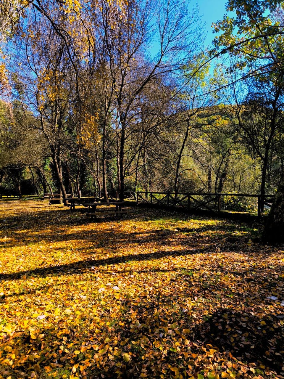 Natural landscape