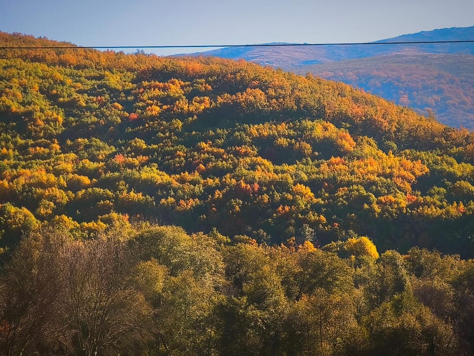 Mountain view