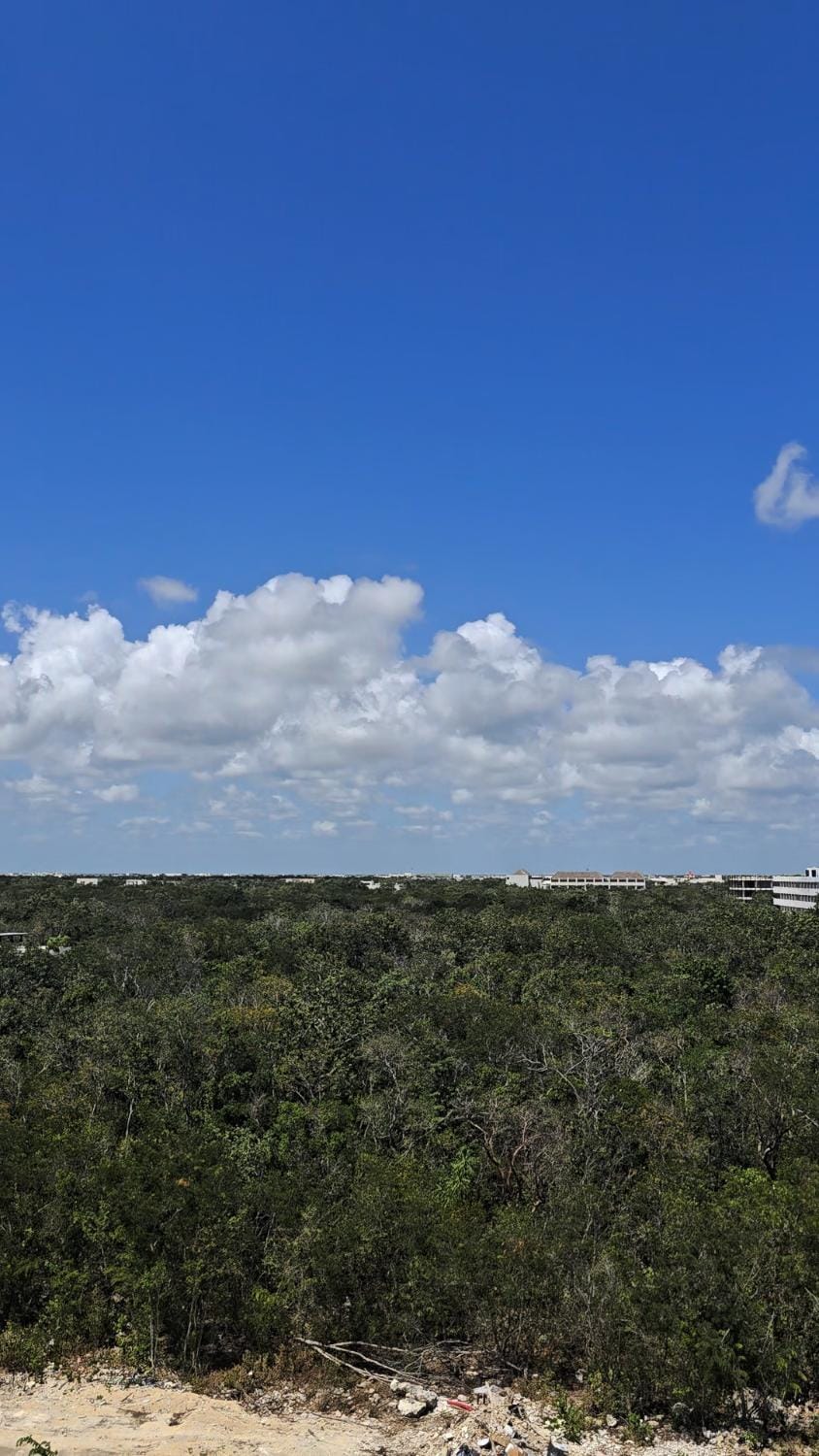 Natural landscape
