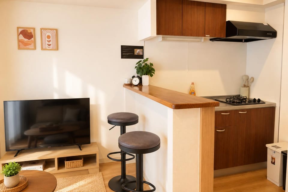 TV and multimedia, Kitchen or kitchenette, Living room, Photo of the whole room, Decorative detail, stove, kitchen
