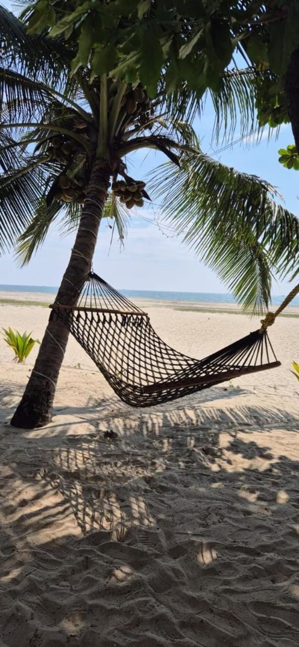 White Saand Beach Residence Nature lodge in Alappuzha