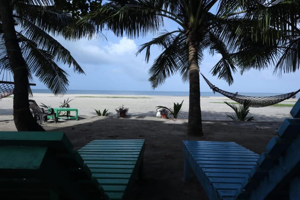 Day, Natural landscape, Beach, Sea view