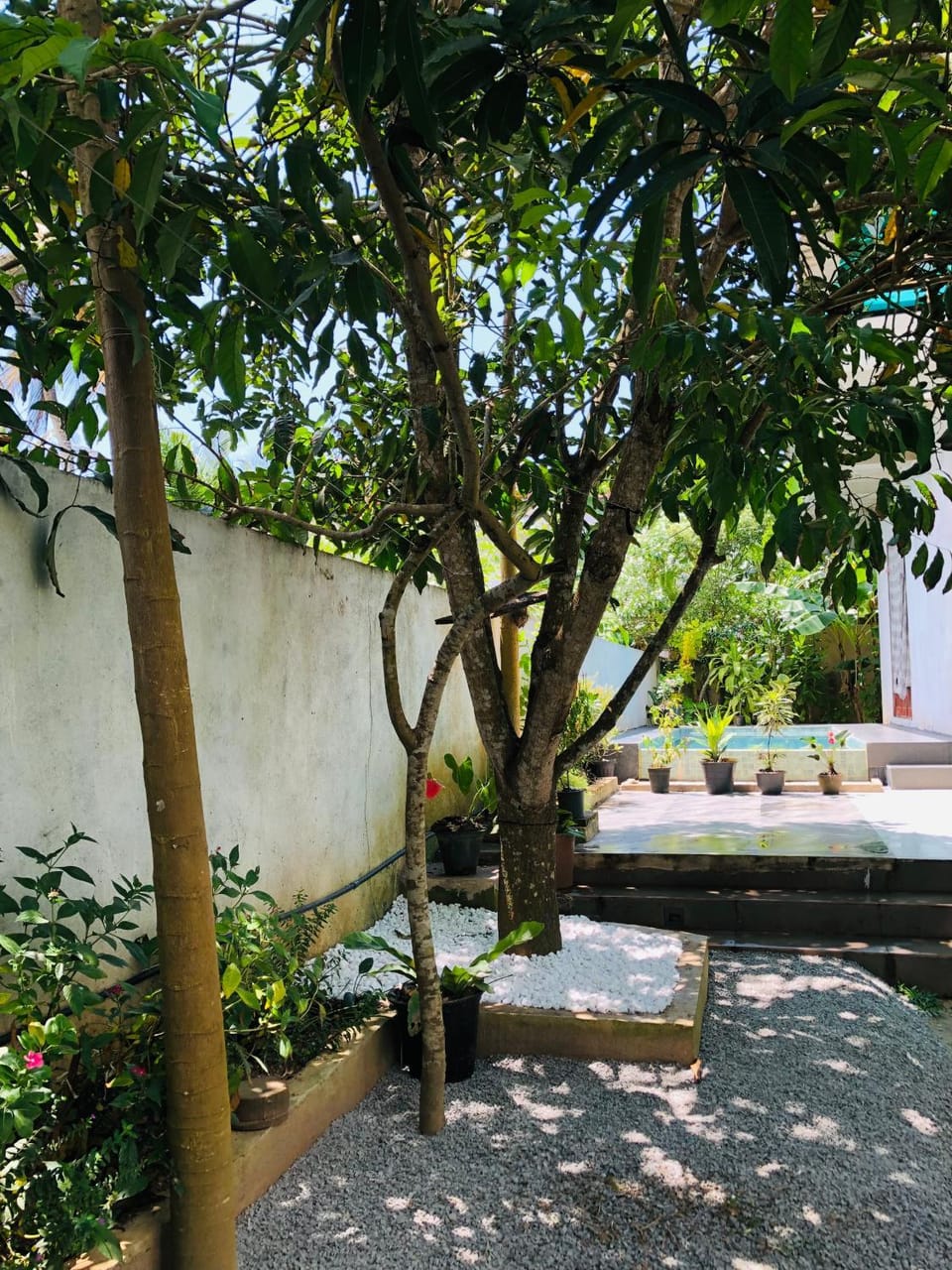 Garden view