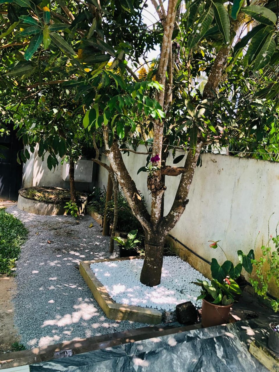 Property building, Garden