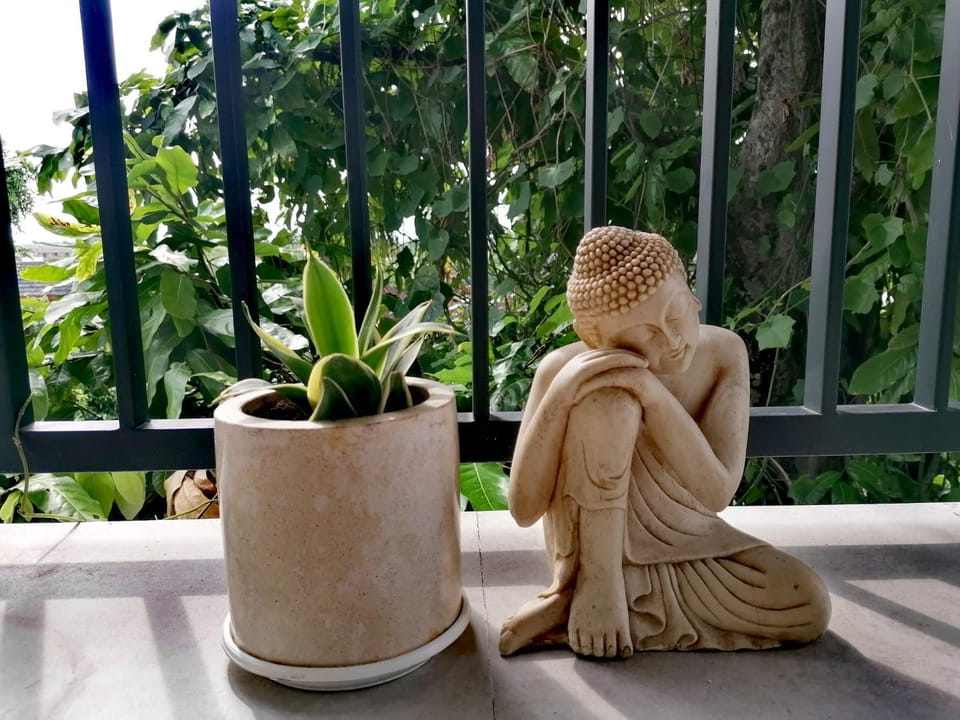 View (from property/room), Decorative detail
