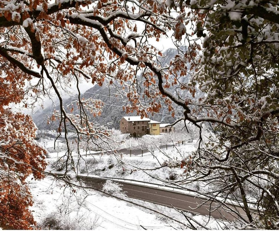 Natural landscape, Winter
